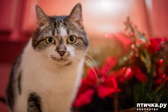 ���� 2: ���������� ����������