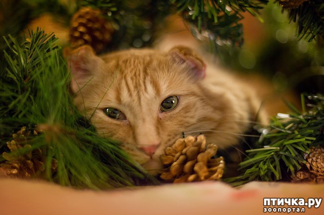 ���� 3: ���������� ����������