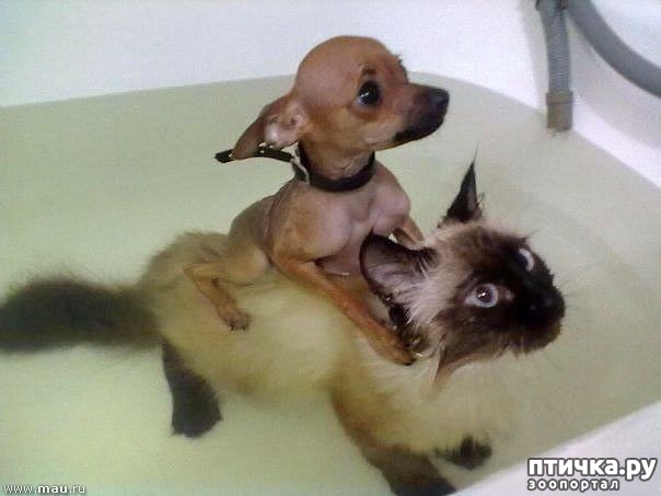 ���� 18: ����� ��������� �����