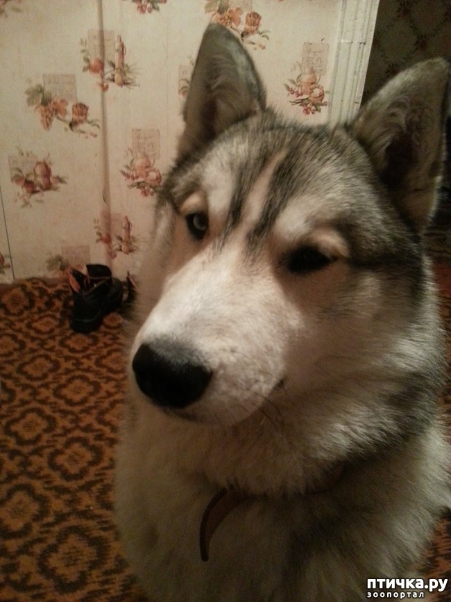 ���� 4: ��� ��� �����, ��� ��� ���� ������ � ����