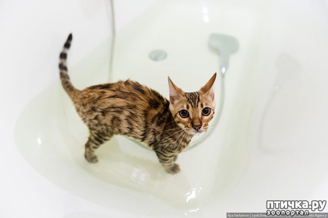 ���� 19: ����� ��������� �����