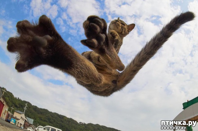 ���� 5: ����� ������))