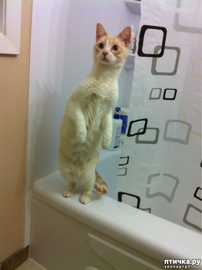 ���� 21: ����� ��������� �����