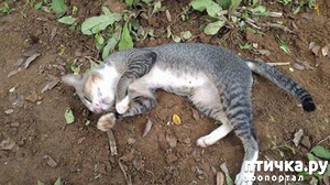 ����: ����� ������ ������� ����� ������ ���� �������� ������� �� ��� ������