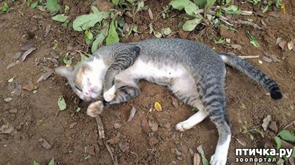 ���� 1: ����� ������ ������� ����� ������ ���� �������� ������� �� ��� ������