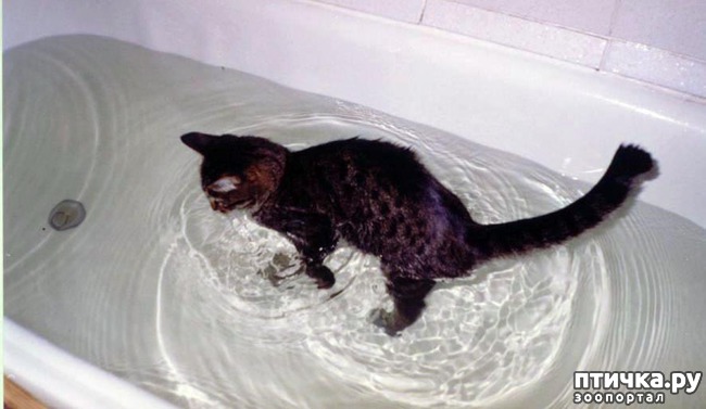 ���� 23: ����� ��������� �����