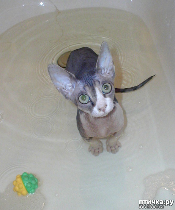 ���� 24: ����� ��������� �����