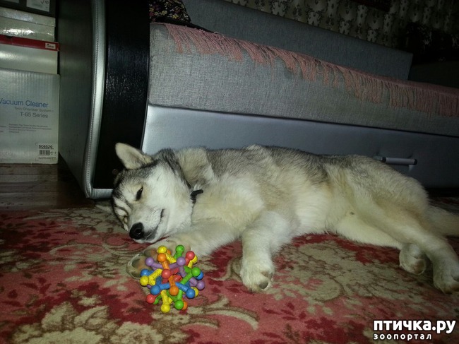 ���� 7: ��� ��� �����, ��� ��� ���� ������ � ����