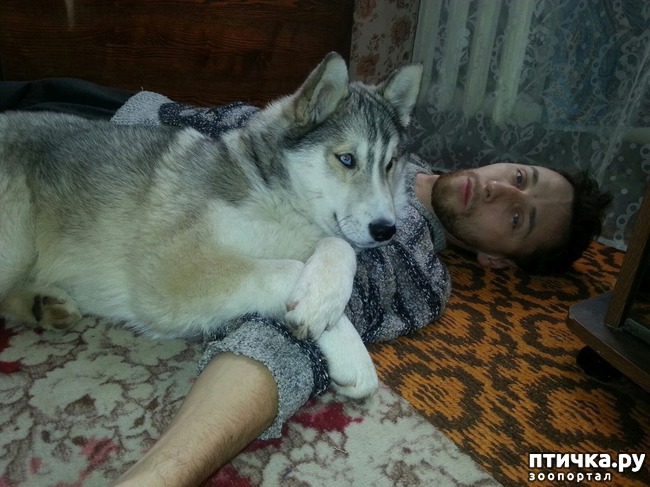 ���� 8: ��� ��� �����, ��� ��� ���� ������ � ����