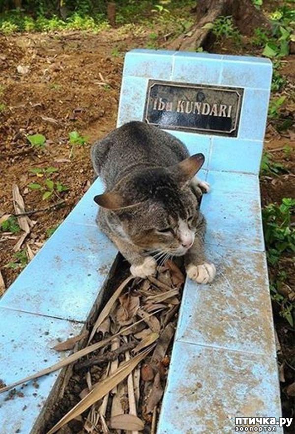 ���� 2: ����� ������ ������� ����� ������ ���� �������� ������� �� ��� ������