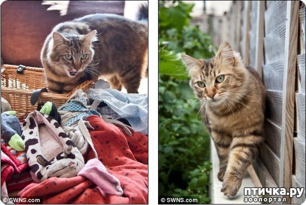 ���� 2: ������� ����-���������� ������ ������� ������������ ������� ��� ������������