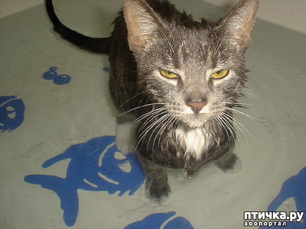 ���� 25: ����� ��������� �����