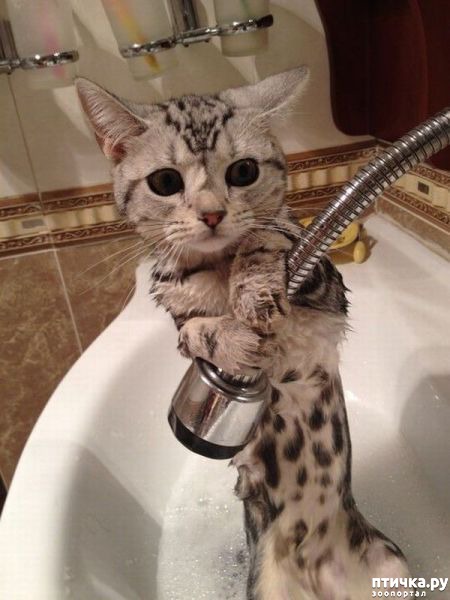 ���� 26: ����� ��������� �����