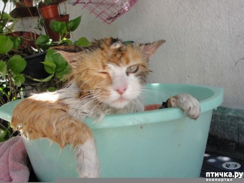 ���� 27: ����� ��������� �����