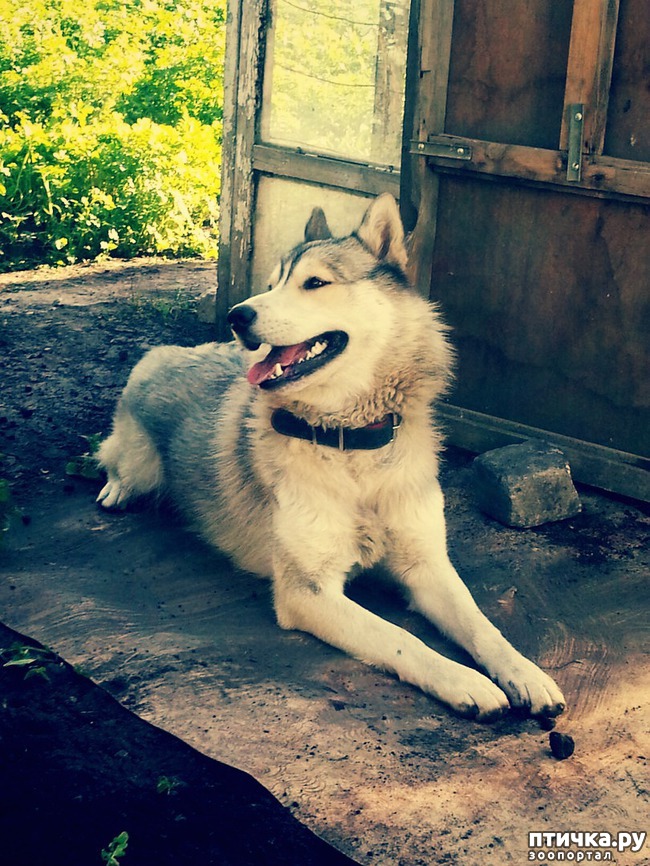 ���� 9: ��� ��� �����, ��� ��� ���� ������ � ����