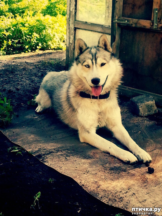 ���� 10: ��� ��� �����, ��� ��� ���� ������ � ����