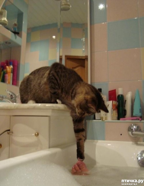 ���� 28: ����� ��������� �����