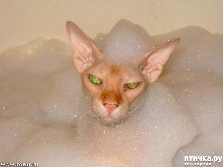 ���� 29: ����� ��������� �����