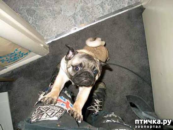 ���� 6: 16 ������, ������������ ���� ������