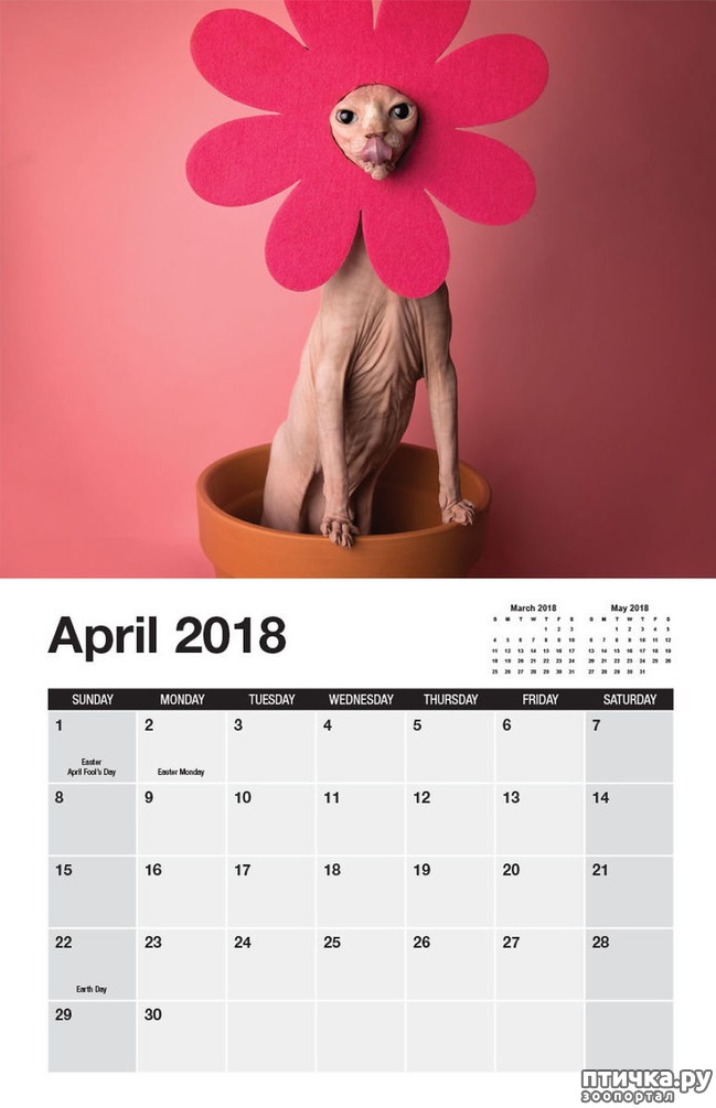 ���� 3: ��������� ������� ������ - ���������