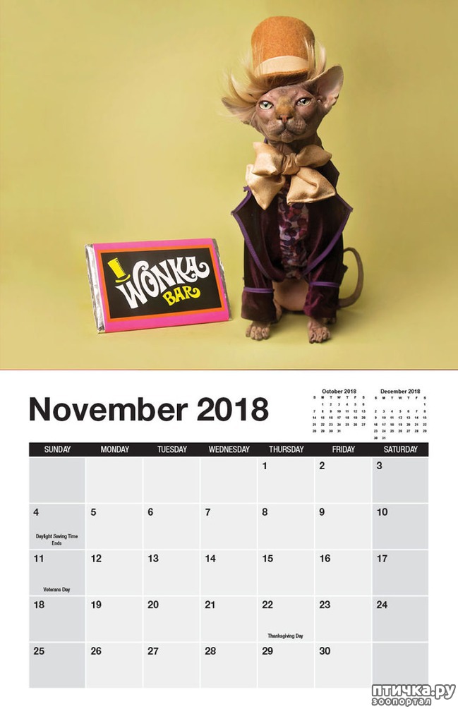 ���� 4: ��������� ������� ������ - ���������