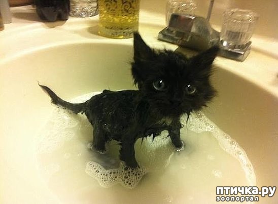 ���� 30: ����� ��������� �����