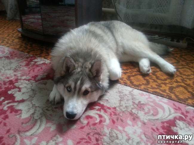 ���� 11: ��� ��� �����, ��� ��� ���� ������ � ����