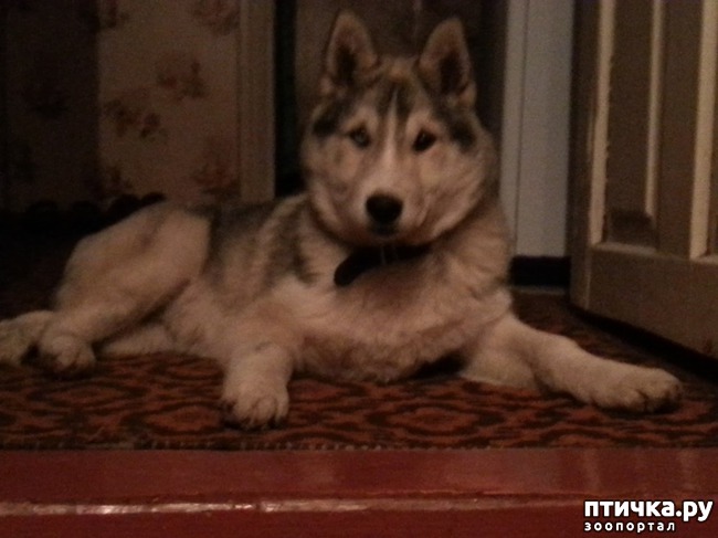 ���� 12: ��� ��� �����, ��� ��� ���� ������ � ����