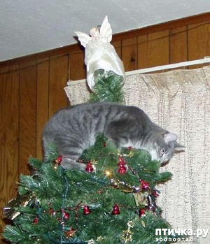 ����: �����, �����, �����!