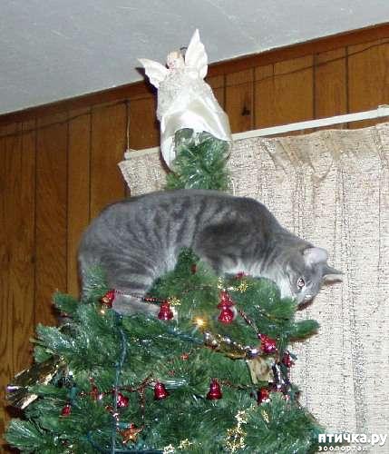 ���� 1: �����, �����, �����!