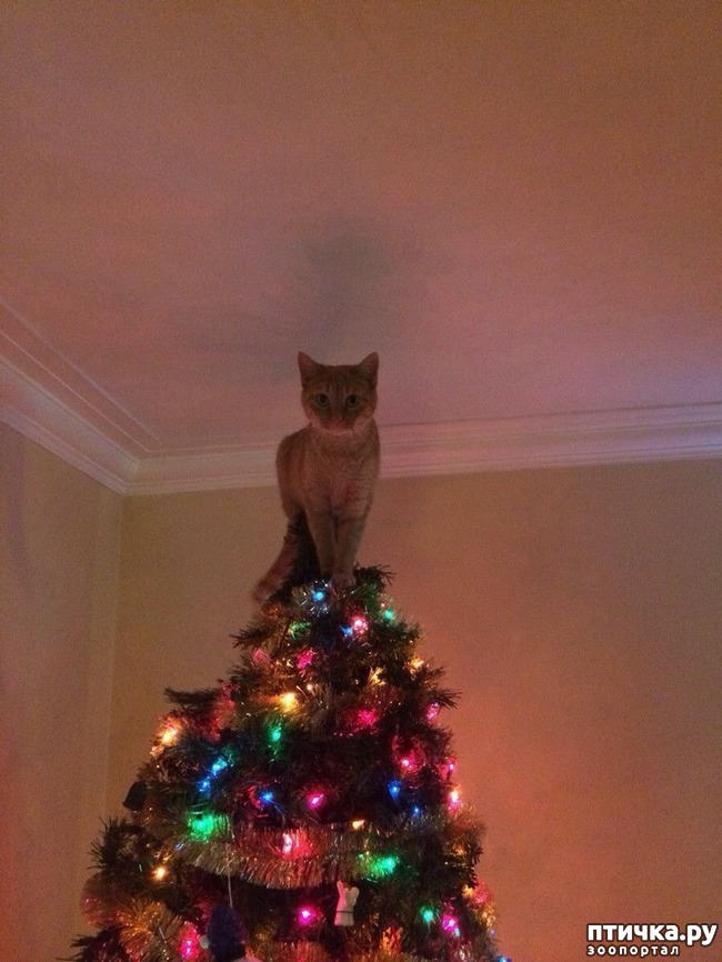 ���� 3: �����, �����, �����!