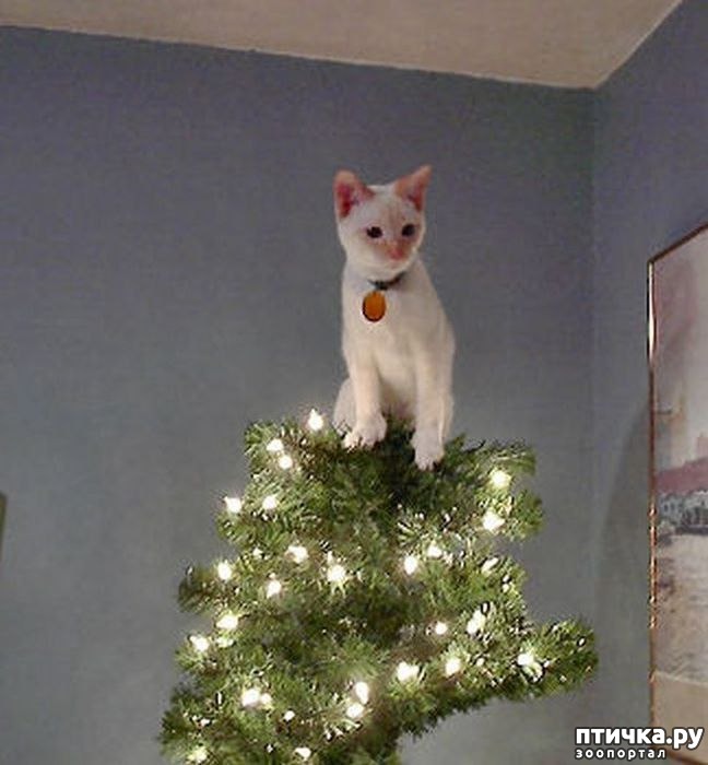 ���� 6: �����, �����, �����!