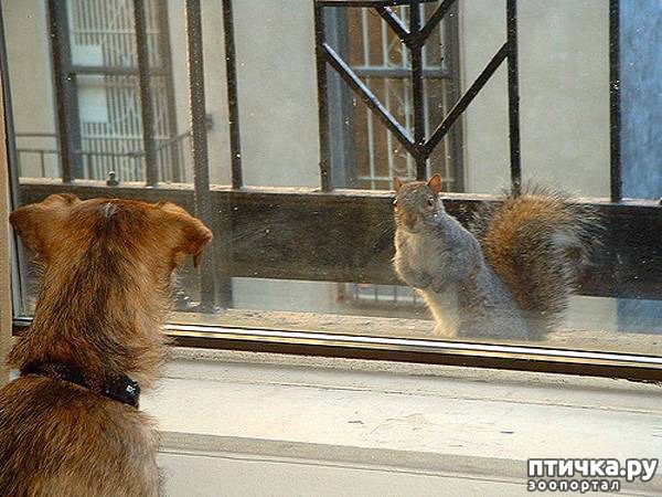 ���� 8: 16 ������, ������������ ���� ������