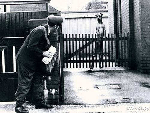 ���� 9: 16 ������, ������������ ���� ������