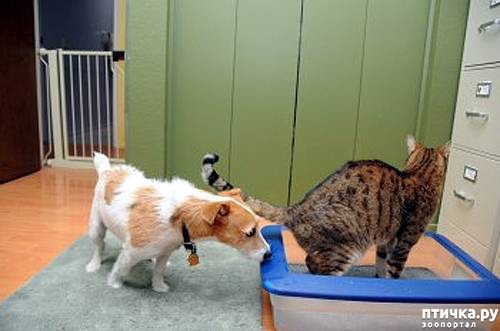 ���� 10: 16 ������, ������������ ���� ������