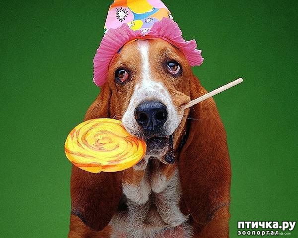 ���� 11: 16 ������, ������������ ���� ������