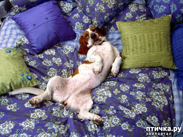 ���� 12: 16 ������, ������������ ���� ������