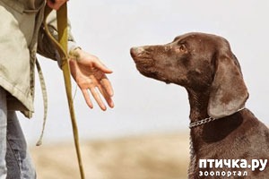 ���� 1: 16 ������, ������������ ���� ������