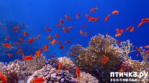 ����: ���� ����� �������������!