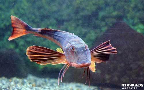 ���� 2: ���� ����� �������������!