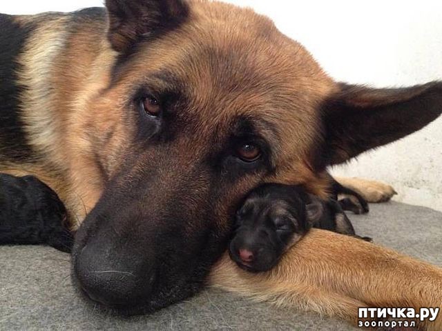 ���� 1: �������� ����