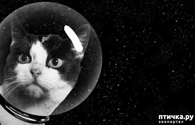 ���� 2: ����� � �������