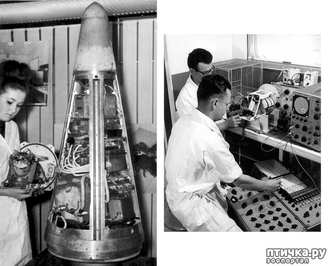 ���� 3: ����� � �������