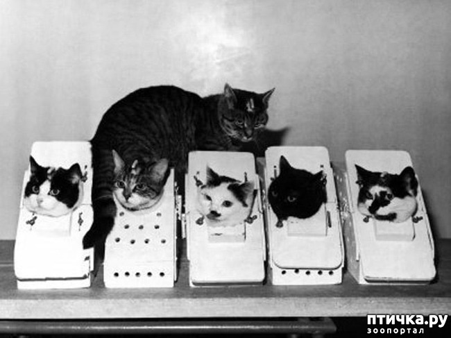 ���� 4: ����� � �������