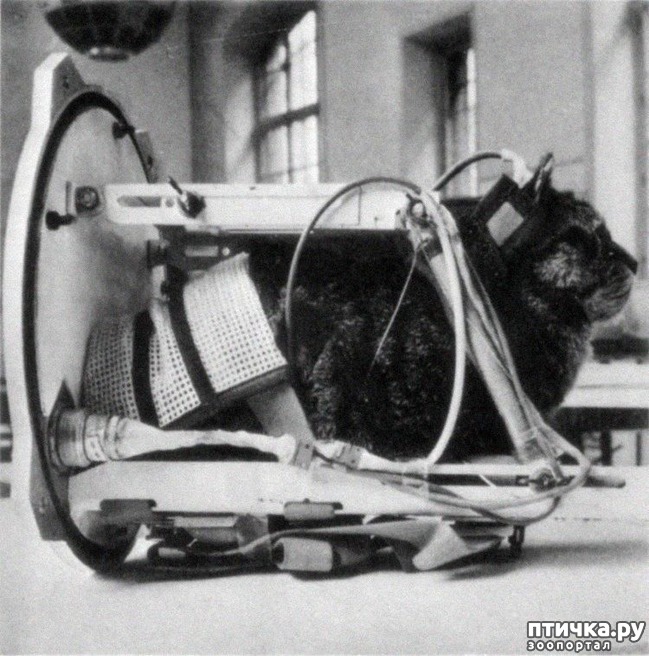 ���� 5: ����� � �������