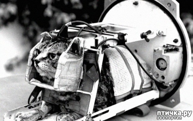 ���� 6: ����� � �������