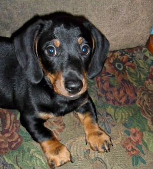 ����: ������� ����� ��� "�����������"- ����� ��������