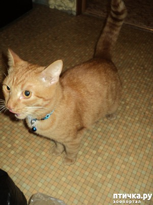 ����: ��� �������, �������� � ���������, �����������!!!