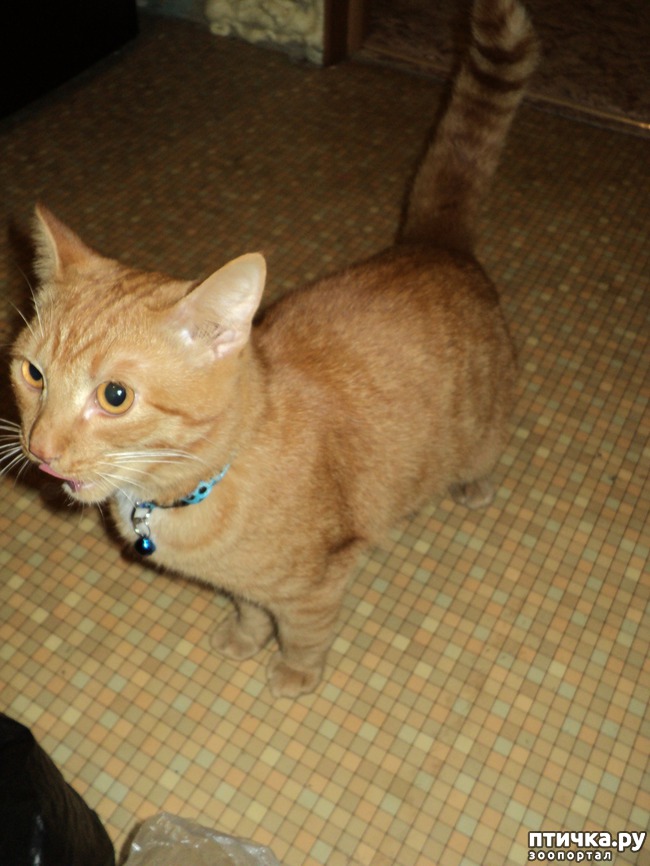 ���� 1: ��� �������, �������� � ���������, �����������!!!