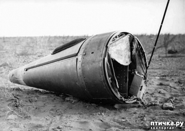 ���� 8: ����� � �������